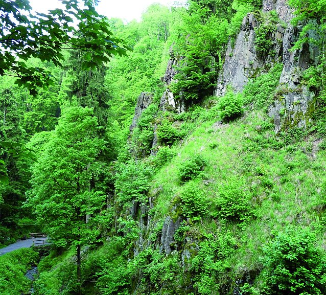 Bild: Steinm&uuml;hlental