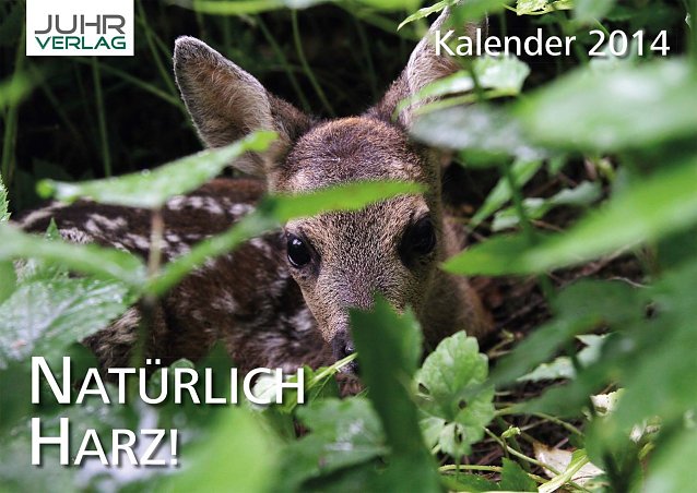 Bild: Kalender
