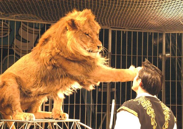Bild: Der Zirkus kommt