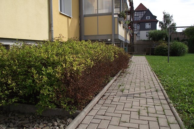 Bild: Mieter machen mit