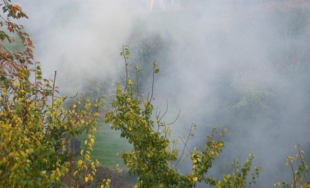 Bild: Nebel des Hustens