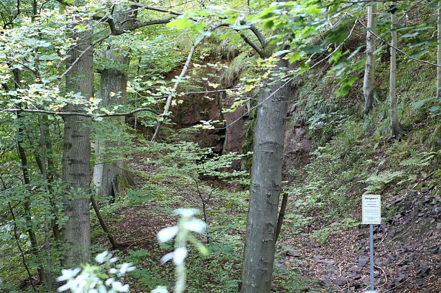 Bild: Am Braunsteinhaus