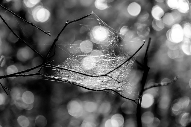 Wetter-Bild Foto: Gernot Thelemann