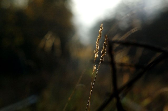 Bild: Wetterbild