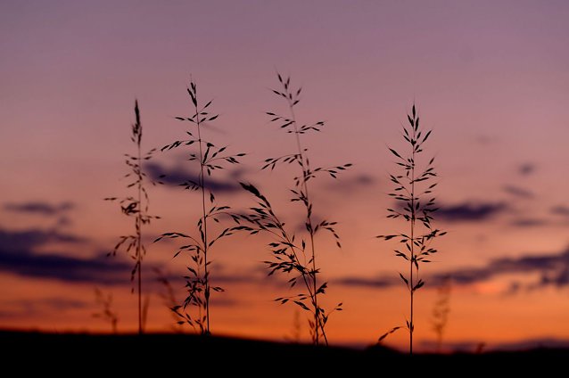 Das Wetter-Bild Foto: Gernot Thelemann