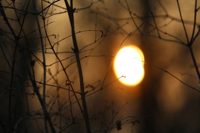 Bild: Wetter-Bild