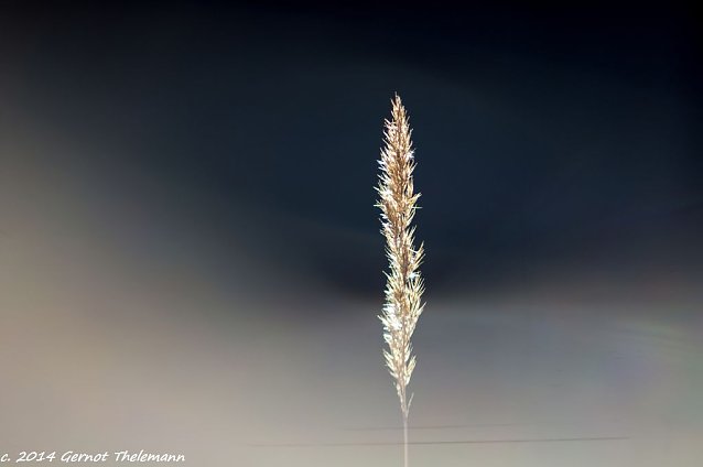 Bild: Wetter-Bild