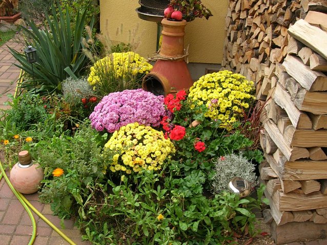 Bild: Gartenfreuden, Gartenfrust - welcher Fachmann hilft?