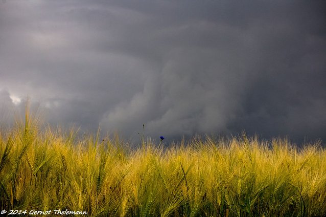 Bild: Wetterbild