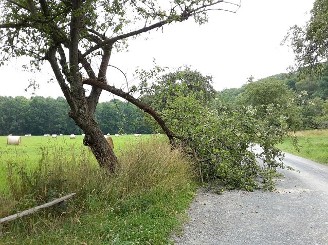 Bild: Abgebrochen