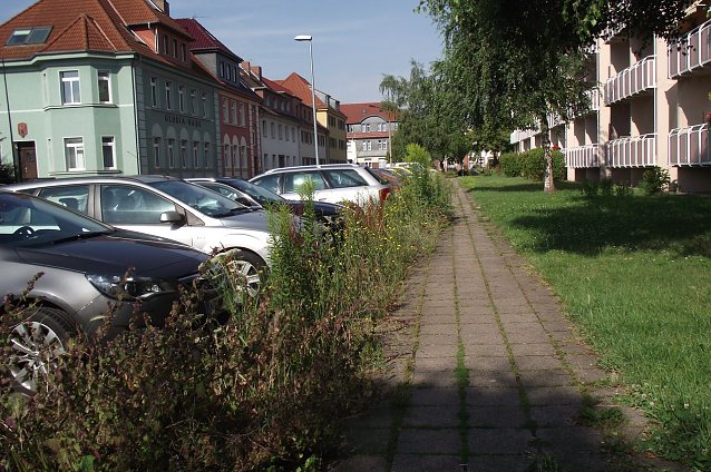 Bild: Gefahr von oben