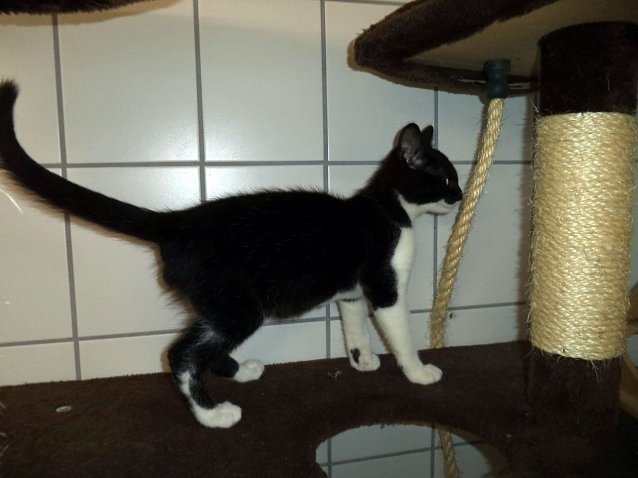 Bild: Darius