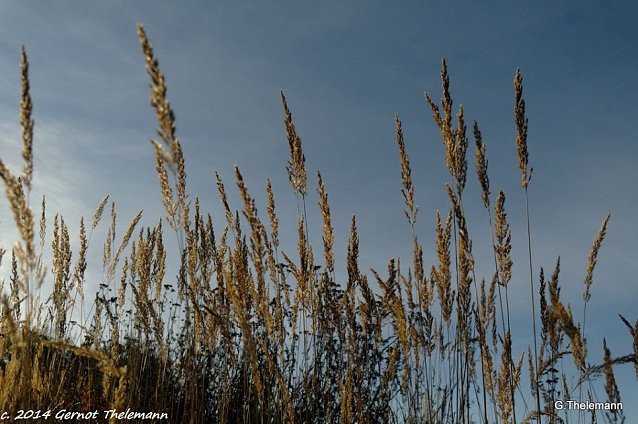 Bild: Wetter-Bild