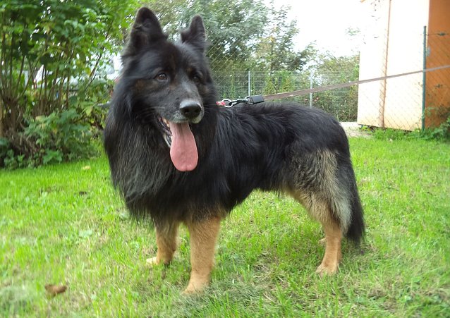 Bild: Jack