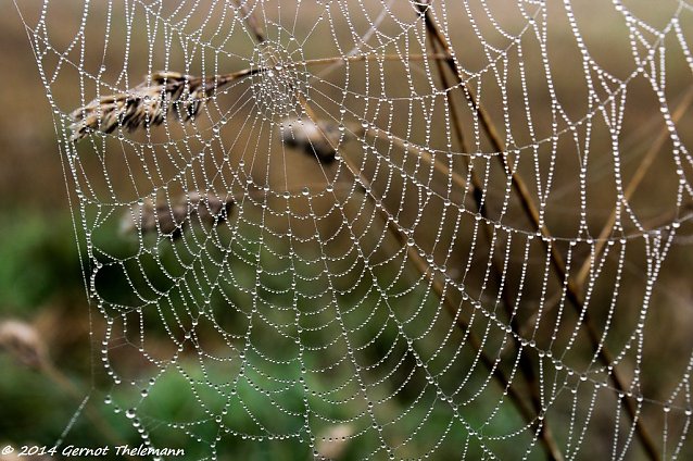 Bild: Wetter-Bild