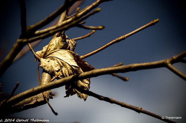 Bild: Wetter-Bild