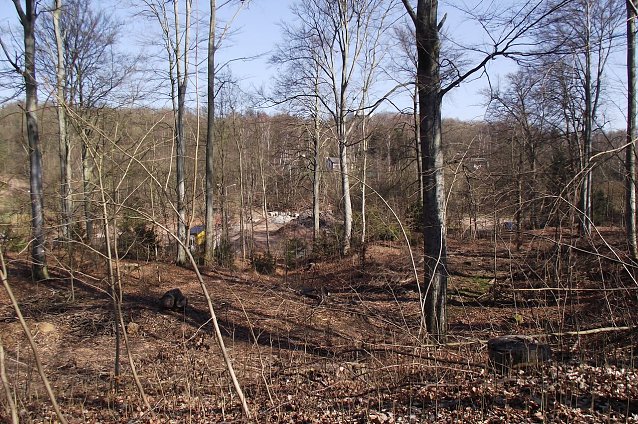 Bild: Das Gehege im Fr&uuml;hjahr 2013