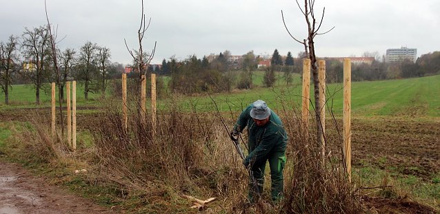 Bild: Arbeiten in der Windl&uuml;cke bei Nordhausen