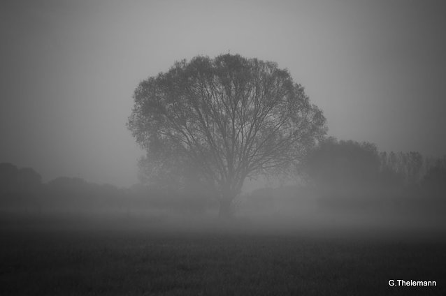 Bild: Wetter-Bild