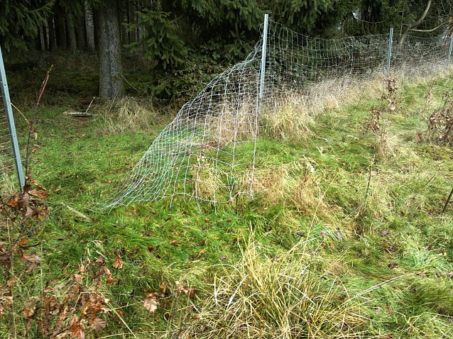 Bild: Mutwillig zerst&ouml;rt