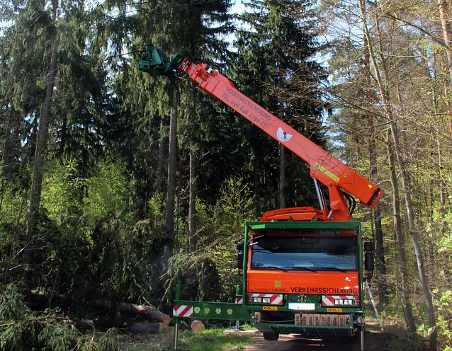 Bild: Doll Tree Trimmer im Einsatz