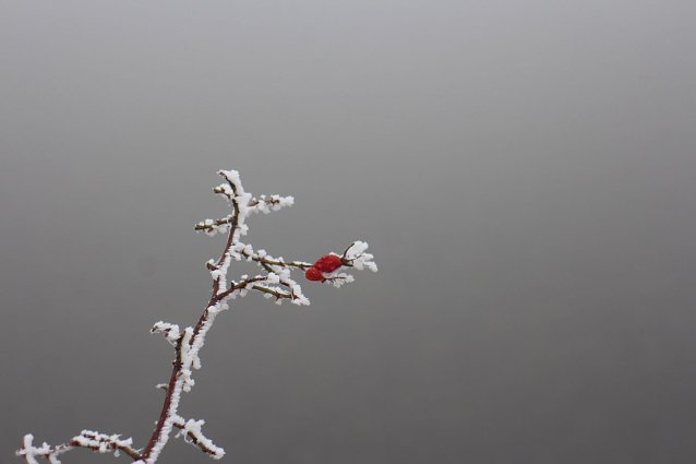 Bild: Der Winter k&ouml;nnte Anfang M&auml;rz noch einmal anklopfen