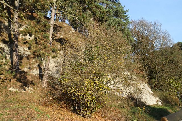 Bild: Gipskarstlandschaft im S&uuml;dharz - Freistaat will Naturschutzverb&auml;nde unterst&uuml;tzen