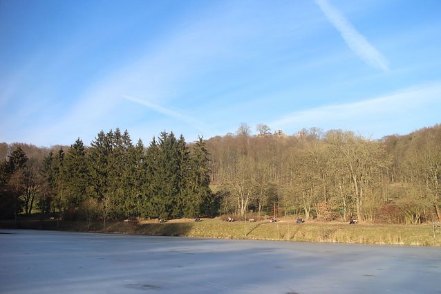Bild: Ein Winter der keiner war, nicht so richtig jedenfalls - Lass uns &uuml;bers Wetter reden