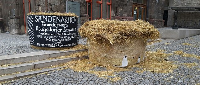 Bild: Arbeit von Vandalen
