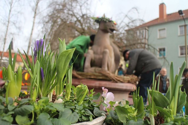 Bild: Heute schon geschm&uuml;ckt - der Meerpferdchenbrunnen in Nordhausen