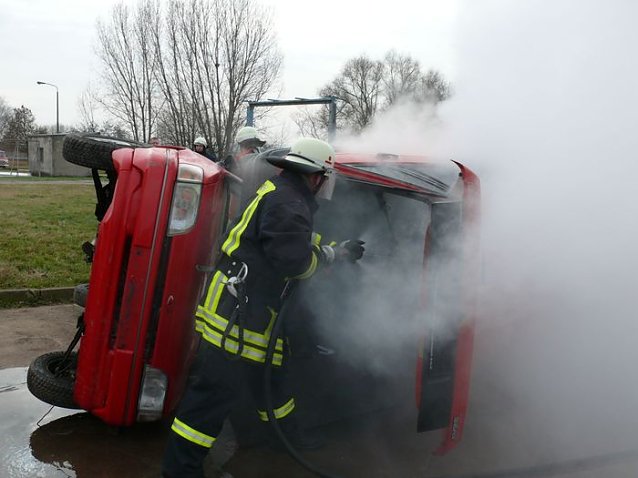 Bild: Feuer bei Schweinen