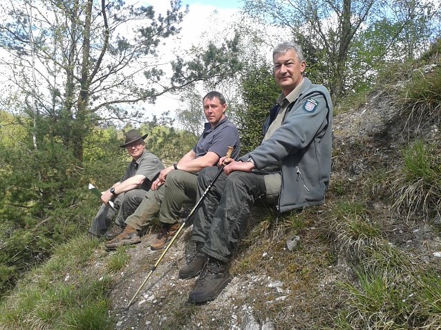 Bild: v.l.n.r.: Knut Apel (stellvertretender Forstamtsleiter Forstamt Bleicherode-S&uuml;dharz), Stadtf&ouml;rster Axel Axt und der Revierleiter Nordhausen Michael Wei&szlig;leder bei der Begehung im Naturschutzgebiet R&uuml;digsdorfer Schweiz.