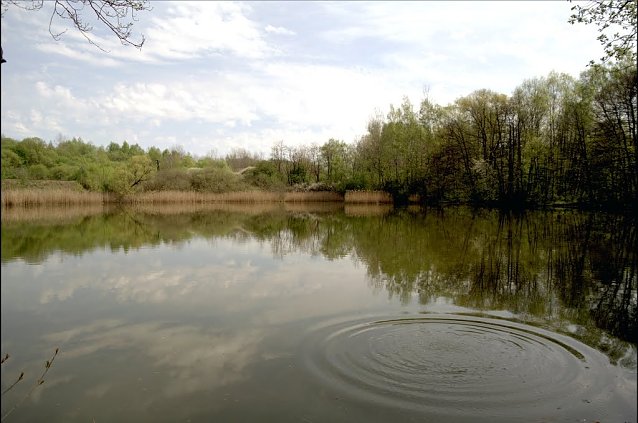 Bild: Pontelteich bei Ellrich