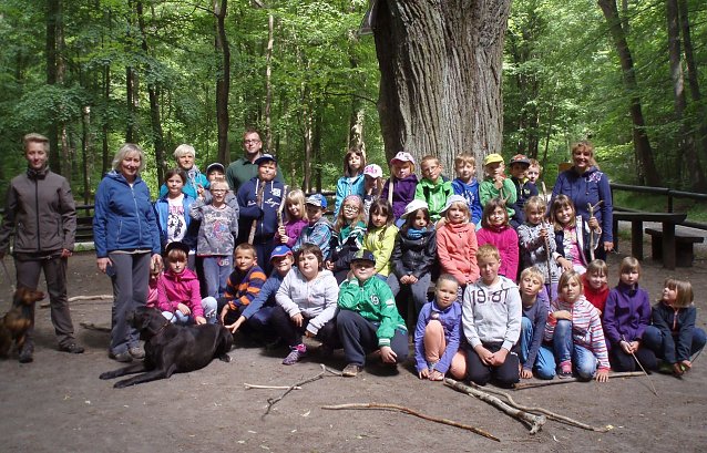 Bild: Erlebnistag im Wald