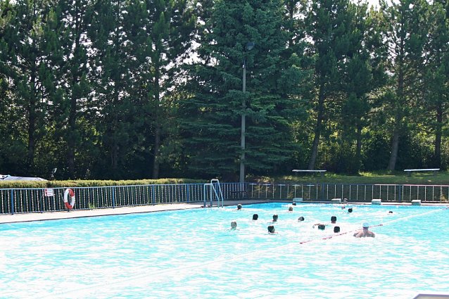 Bild: Schwimmen und gewinnen
