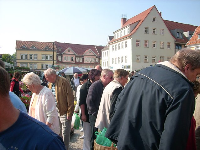 Bild: Pflanzenmarkt am Sonntag