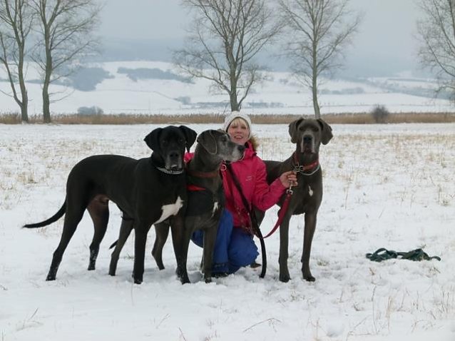 Bild: Geh&ouml;ren zur Familie Matzak: Odin, Undis und Aurelia.