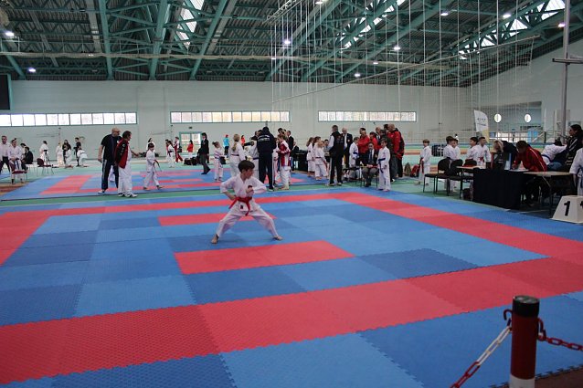 Bild: F&uuml;r die Nordh&auml;user Karate Kids war der erste "East Open" Wettkampf in Halle ein Pflichttermin