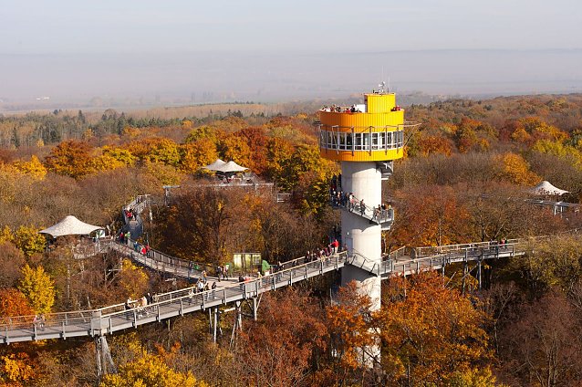 Bild: Der Baumkronenpfad im Herbst.