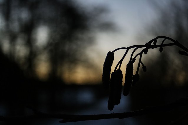 Bild: Wetterbild