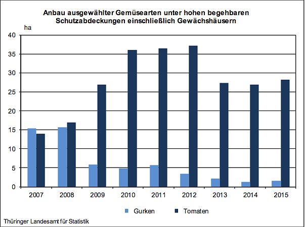 Bild: Anbau ausgew&auml;hlter Gem&uuml;searten in Th&uuml;ringen