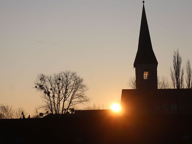 Bild: Petriturm am morgen
