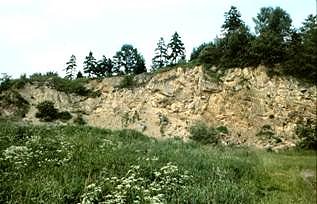 Bild: Am Sonntag f&uuml;hrt eine k&uuml;rzere geologie- und geschichtstr&auml;chtige Wanderung in die Landschaft um Bartolfelde