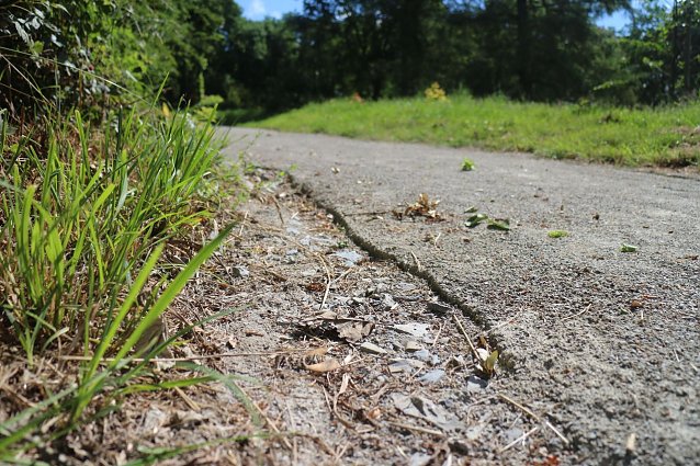 Bild: Der Regen sp&uuml;lt die Deckschicht der Wege weg und hat noch leichteres Spiel, wenn Radfahrer tiefe Rillen hinterlassen