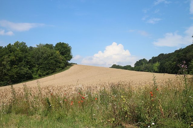 Bild: Wetterbild
