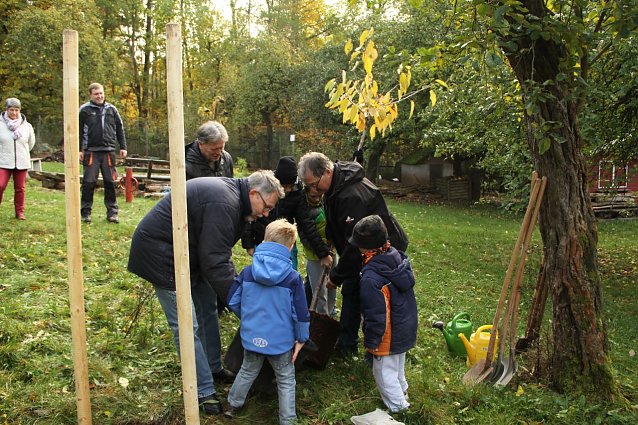 Bild: Synchronbaumpflanzung in Harzrigi