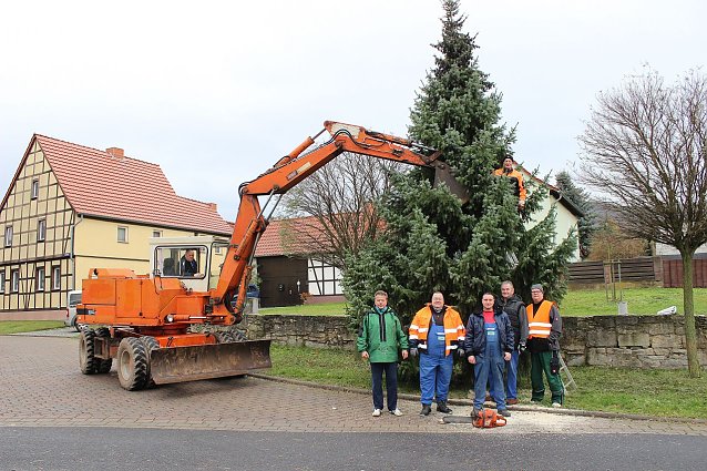Bild: Ein Baum f&uuml;r Obergebra