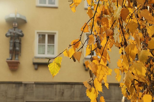 Bild: Wetterbild