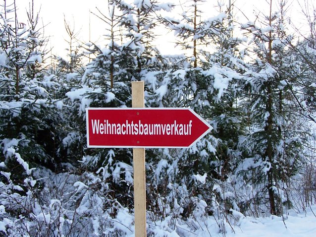 Bild: Weihnachtsb&auml;umre selbst schlagen