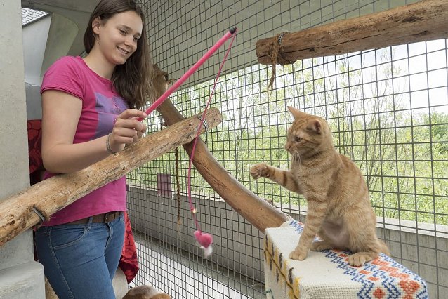 Bild: Auszeichnung f&uuml;r junge Tiersch&uuml;tzer